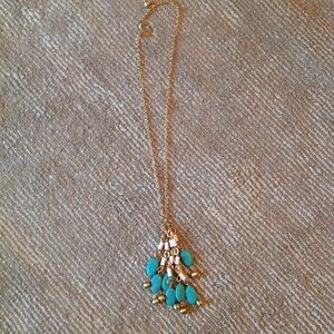 Lilly Pulitzer Statement Necklace